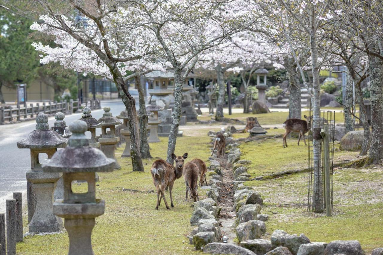 Отель Miyajima Morinoyado Хацукаити Экстерьер фото
