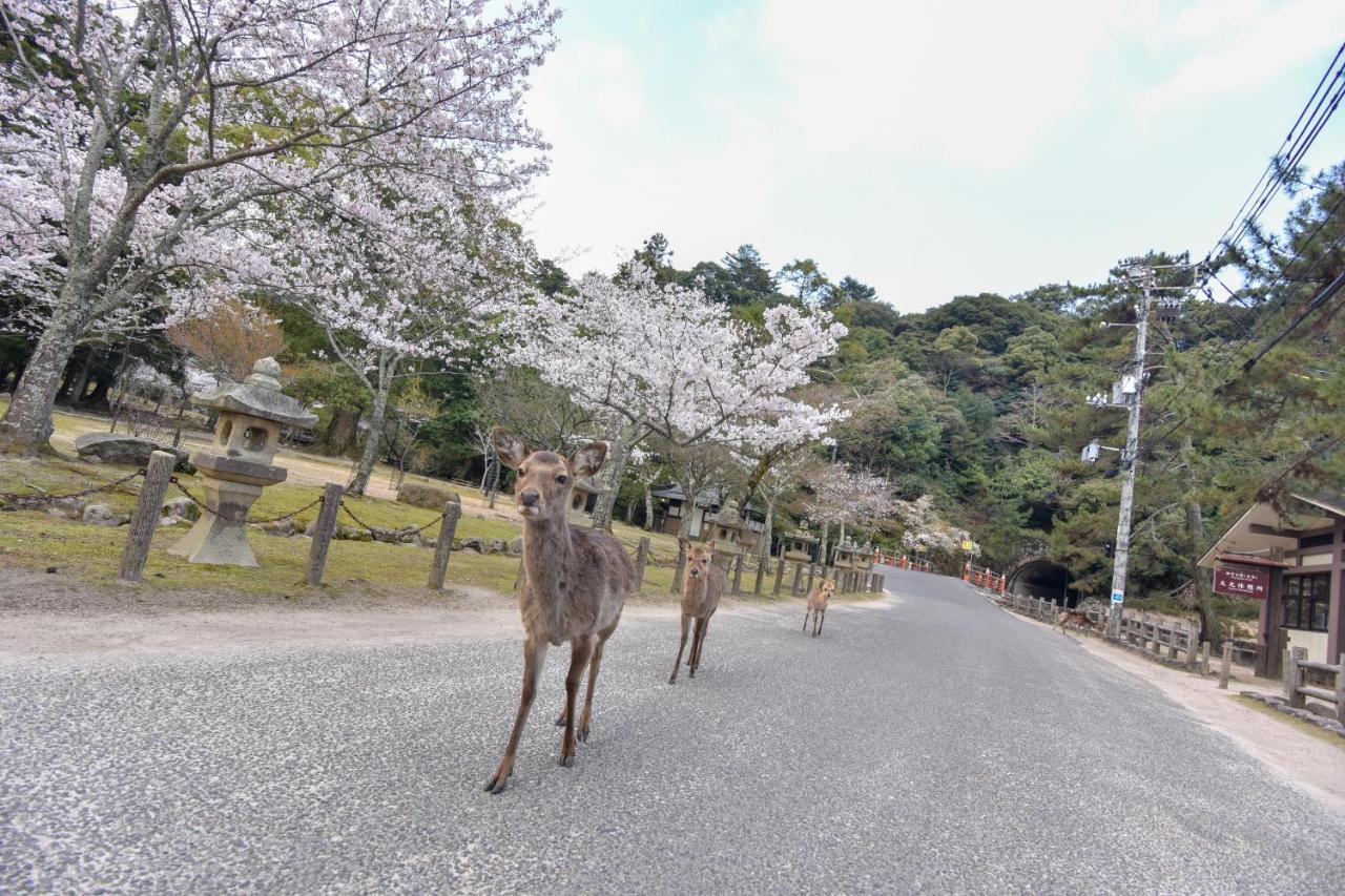 Отель Miyajima Morinoyado Хацукаити Экстерьер фото